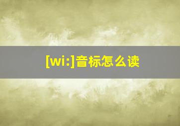 [wi:]音标怎么读